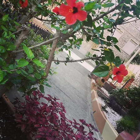 Anto's - * 贾迪尼-纳克索斯