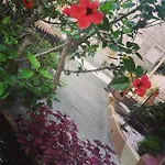 Anto's - * Giardini Naxos