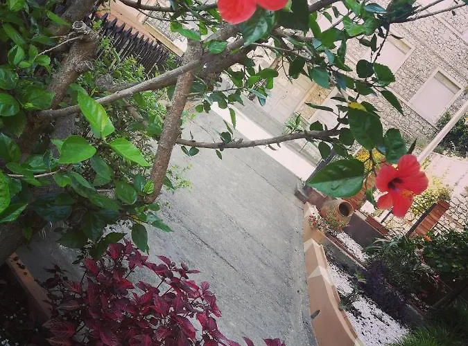 Anto's - * Giardini Naxos