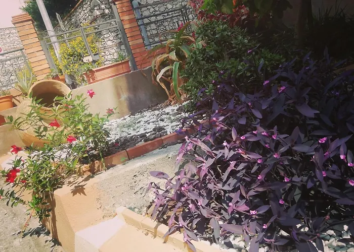 Tatil Evi Anto's - *