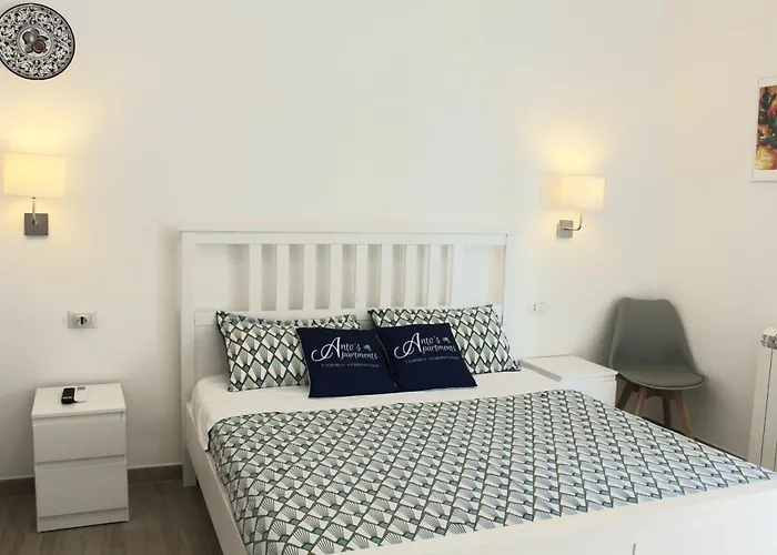 Tatil Evi Anto's - *